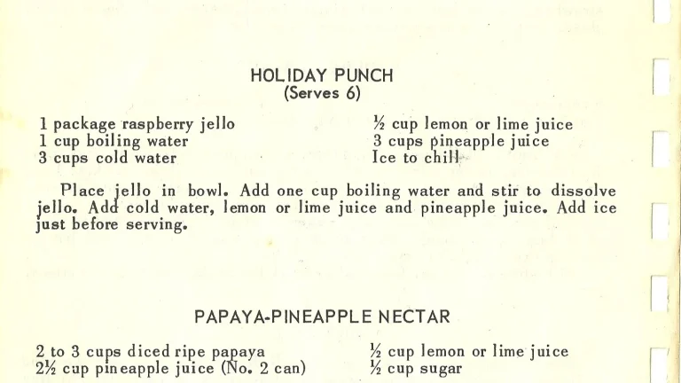HOLIDAY PUNCH