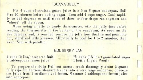 Guava Jelly