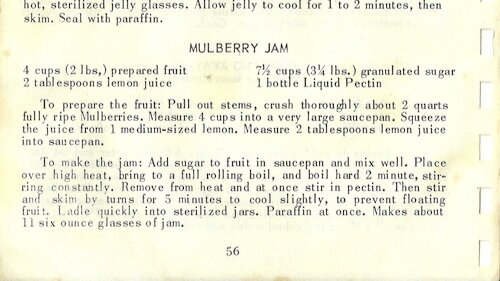 MULBERRY JAM