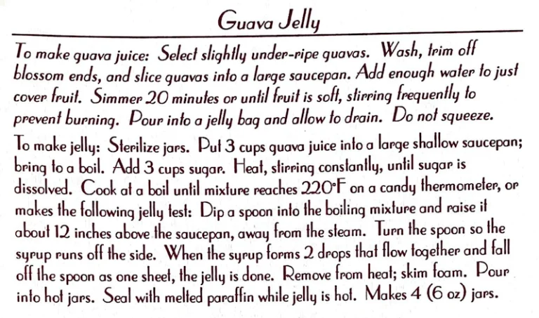 Guava Jelly #3