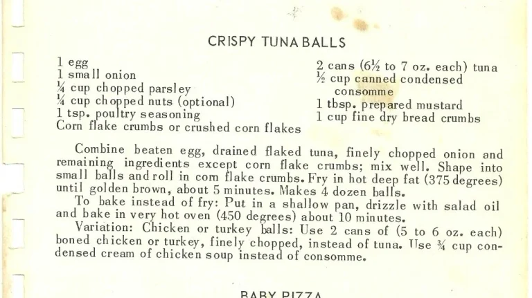 CRISPY TUNA BALLS