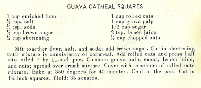 Guava Oatmeal Squares
