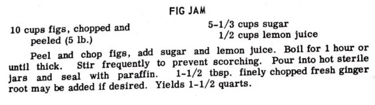 Fig Jam