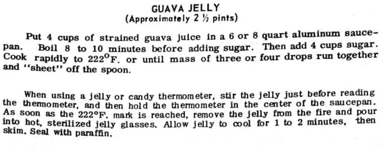Guava Jelly #2
