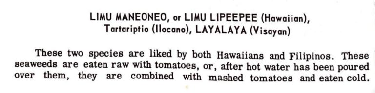 Limu Maneoneo, or Limu Lipeepee (Hawaiian), Tartariptio (Ilocano), Layalaya (Visayan)