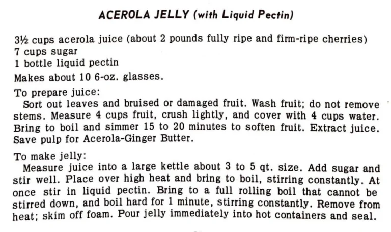 Acerola Jelly (With Liquid Pectin) #2