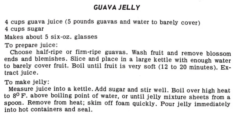 Guava Jelly #5
