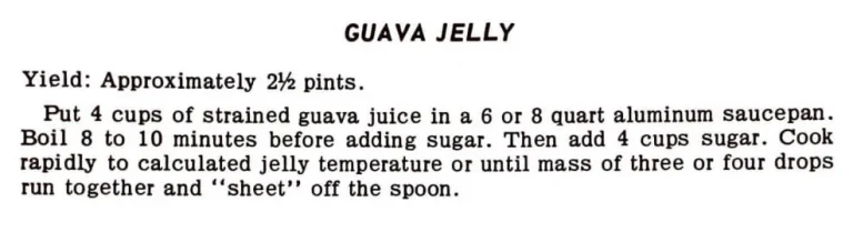 Guava Jelly #4