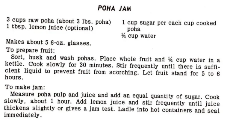 Poha Jam