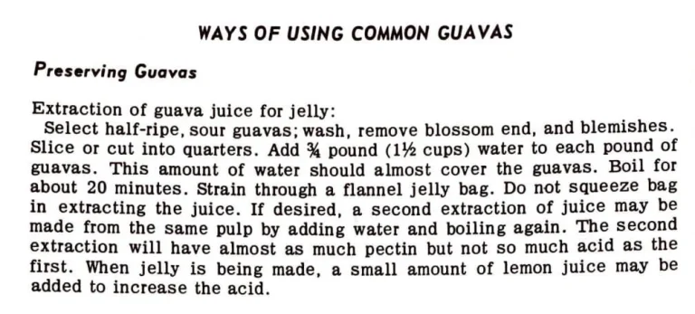Ways of Using Common Guavas