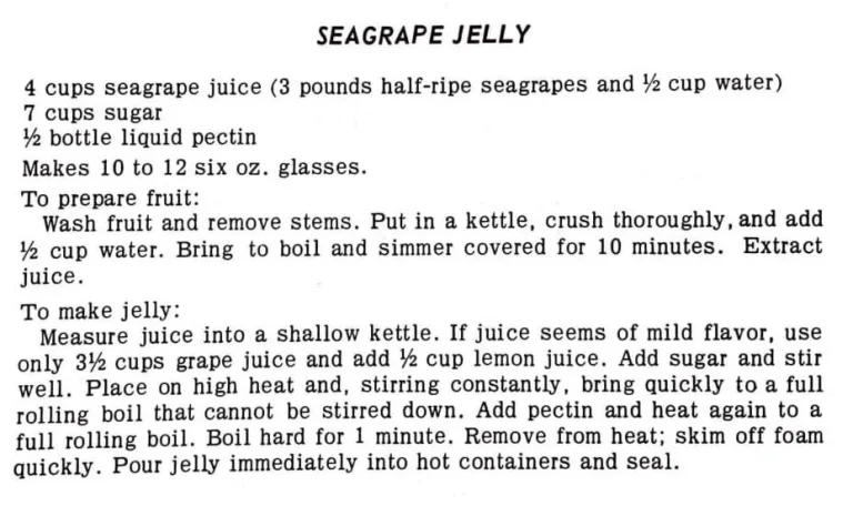 Seagrape Jelly