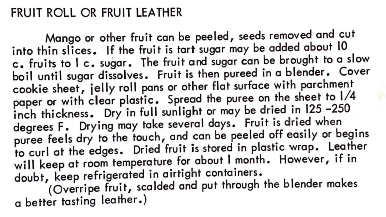 Fruit Roll or Fruit Leather
