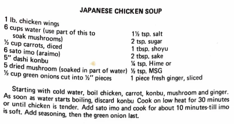Japanese Chicken Soup