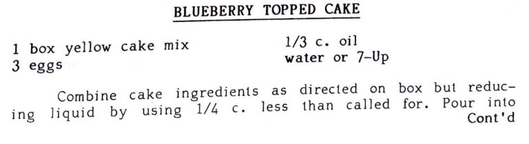 Blueberry Topped Cake