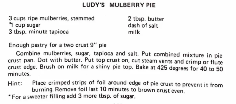 Ludy’s Mulberry Pie