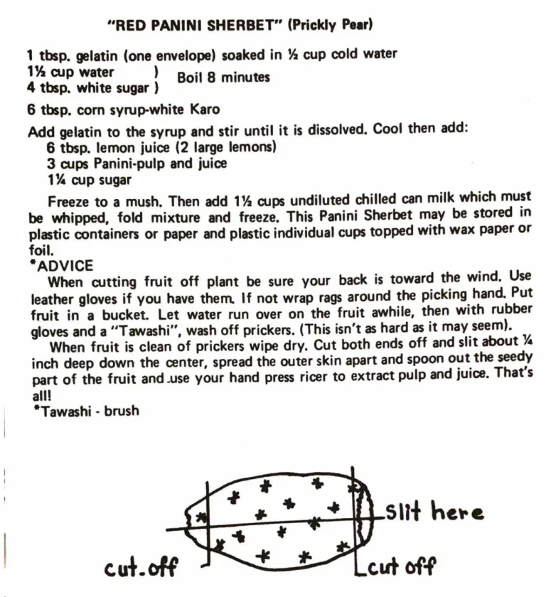 “Red Panini Sherbet” (Prickly Pear)