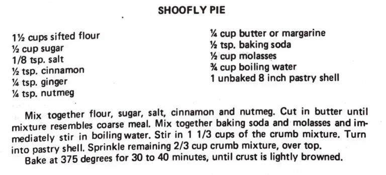 Shoofly Pie